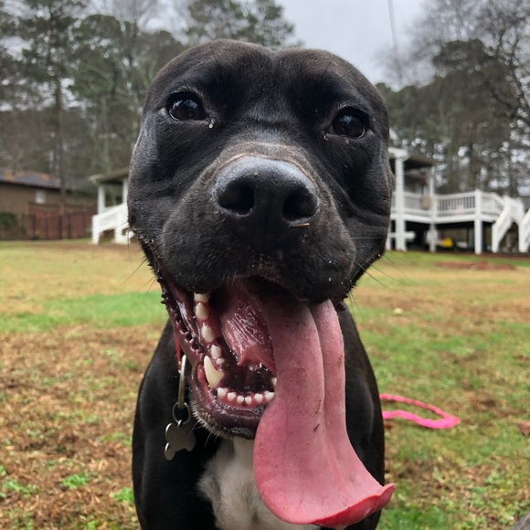 Meet your Posher, Ben - Picture 15 of 16